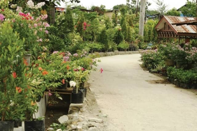Kampung Wisata Bunga Bangun Sari