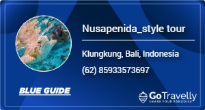 Nusapenida_style tour