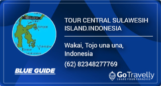 TOUR CENTRAL SULAWESIH ISLAND.INDONESIA