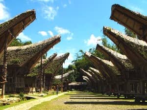 Tana Toraja Melihat Upacara Pemakaman Rambu Solo Gotravelly