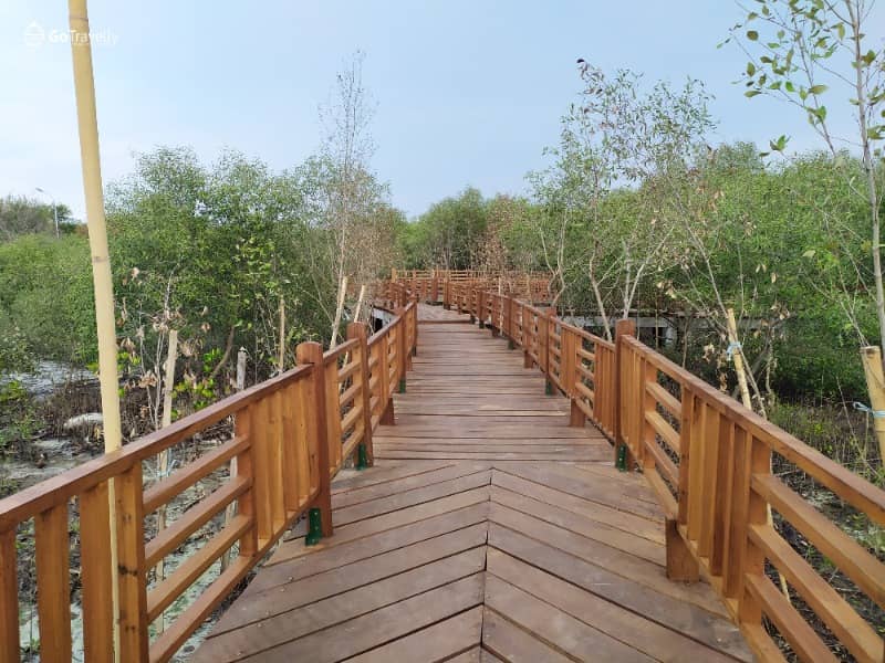 hutan mangrove gunung anyar