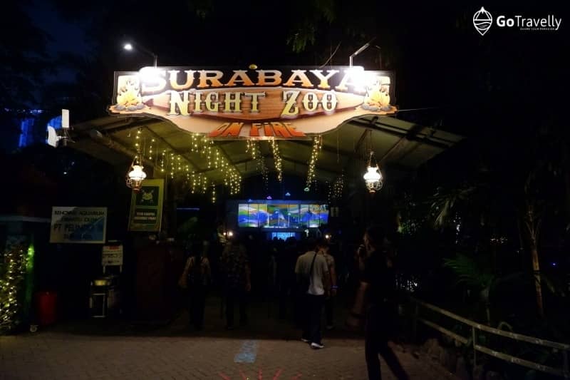 wisata surabaya night zoo