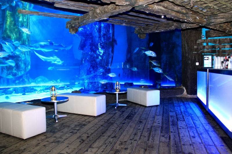 sea life london aquarium