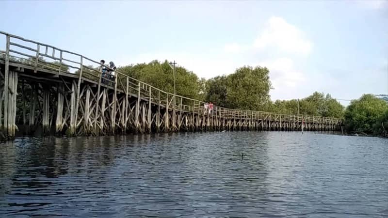 taman mangrove PIK