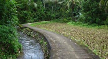 Air Terjun Sekumpul Surga Tersembunyi di Bali
