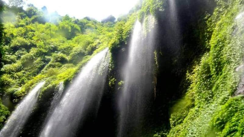 Panorama Air Terjun Madakaripura Rute Lokasi Air Terjun