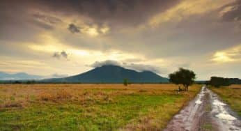 17 Foto Taman Nasional Baluran Indahnya Seperti Afrika