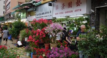 11 Tempat Wisata di Hongkong Rekomended Buat Liburan