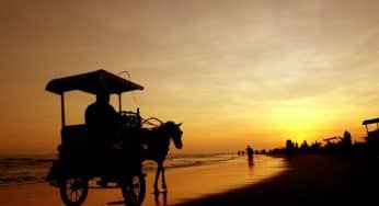 9 Tempat Wisata Pantai di Jogja Incaran Traveler