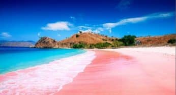 9 Wisata Pantai di Jawa Timur Indah dan Tersembunyi