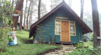 Balitsa Lembang Surga Hijau Beragam Tanaman Sayur dan Buah