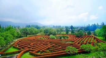 11 Spot Foto di Bogor Bikin Instagrammu Banyak Like