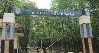 10 Tempat Wisata di Cilacap Menjadi Incaran Para Wisatawan