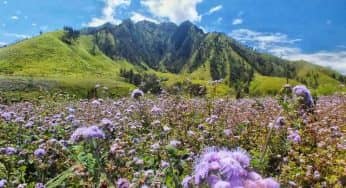 10 Tempat Wisata Bondowoso Paling Menarik Untuk Dikunjungi