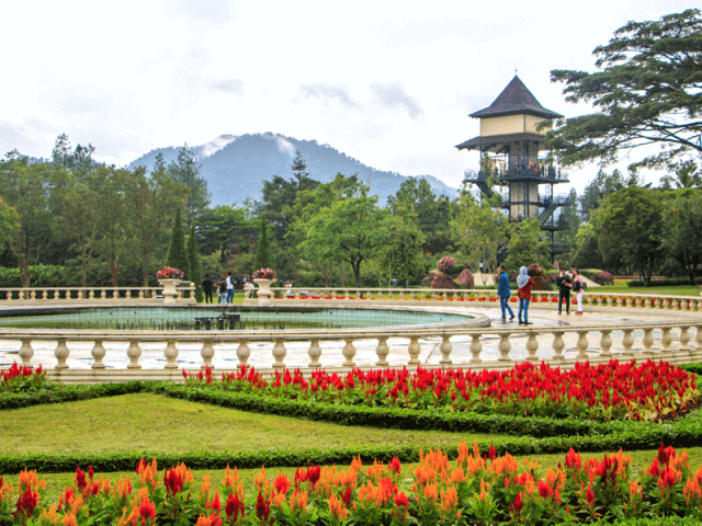 10 Taman Bunga Terindah Di Indonesia, No #2 Bayak Bunga Sakura