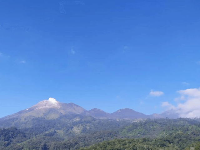 Pemandangan Langit Malam Penuh Bintang