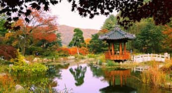 10 Tempat Terbaik Menikmati Musim Gugur di Korea