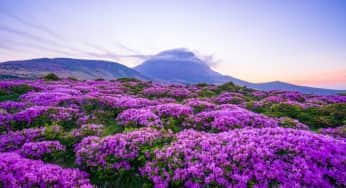 Senandung Alam 7 Taman Nasional Di Korea Selatan Bikin Betah Explore