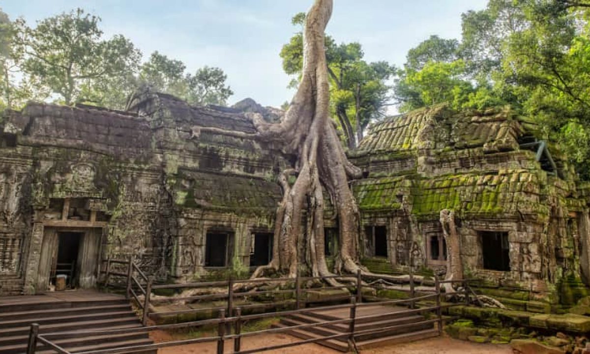 Та Прохм, один из храмов Камбоджи, возведённый в 1186 году.