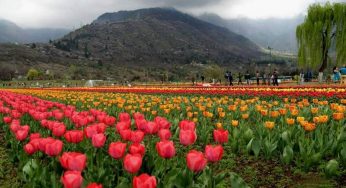 Dijuluki Surga di Bumi, Nih 10 Tempat Wisata di Kashmir
