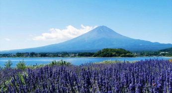 Jalan Jalan ke Jepang? Mampir Dulu ke 10 Wisata di Kawaguchiko