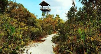 7 Destinasi Wisata Padang Pasir di Indonesia, Cakep Banget!