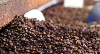 Hola! 10 Oleh Oleh Khas Mexico yang murah dan unik