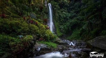 10 Wisata Alam di Lumajang, Kerennya Kebangetan