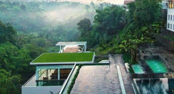 10 Hotel di Tengah Hutan Indonesia Paling Keren Dan Nyaman