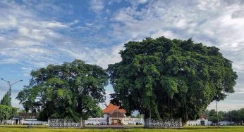 10 Taman di Yogyakarta Untuk Refreshing Dan Pastinya Instagenic