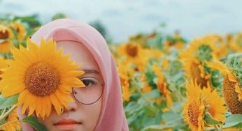 10 Tempat Wisata di Banyumas Taman Bunga Matahari Hingga Air Terjun