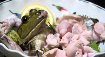 10 Makanan Khas Jepang Dengan Sajian Daging Mentah Yang Enak!
