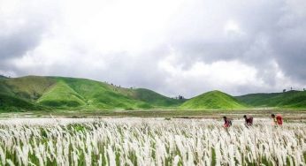 10 Tempat Wisata Dekat Kawah Ijen Yang Cakepnya Kebangetan