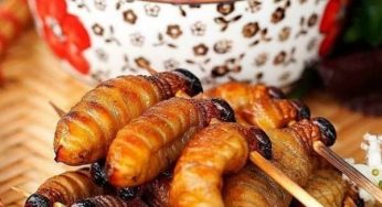 5 Makanan Khas Suku Asmat yang Unik Sekaligus Menyehatkan