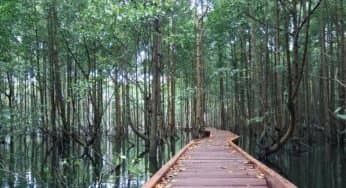 10 Tempat Wisata di Bontang Bikin Enggan Pulang