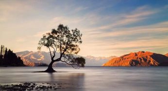 20 Danau Terindah di Selandia Baru Dengan Panorama Alam Kece!