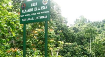 9 Taman Nasional di Sulawesi Dengan Keaneragaman Hayati