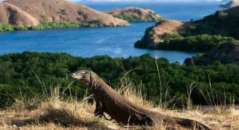 10 Taman Nasional Terindah di Indonesia, Pemandanganya Wow!