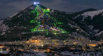 10 Pohon Natal Terindah di Dunia, Ada yang Berlokasi di Gunung