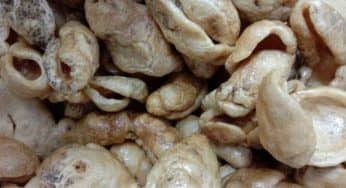 10 Keripik Dari Hasil Olahan Laut Yang Gurihnya Nendang Banget