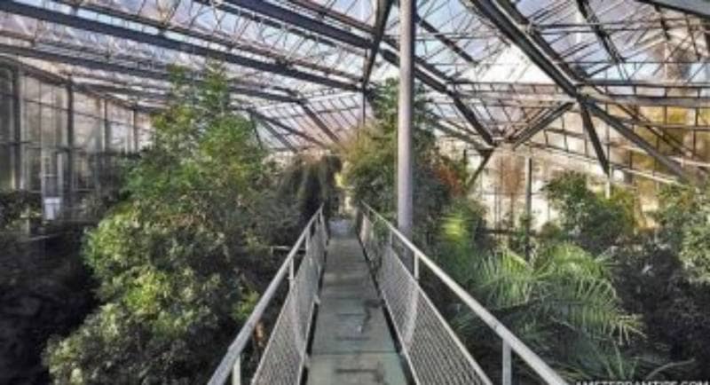 Jalan Jalan Ke Belanda? Kunjungi 8 Taman Indah di Amsterdam
