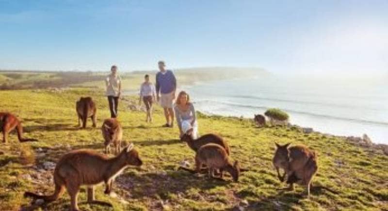 20 Tempat Wisata di Adelaide Australia