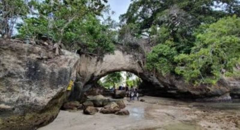 Nggak Hanya Satu, Nih 7 Pantai Karangbolong Di Indonesia