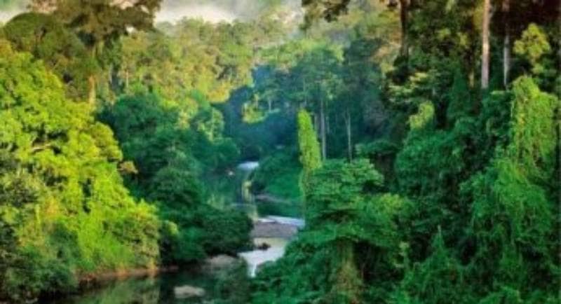 Terpesona Keindahan 7 Tempat Wisata di Barito Utara