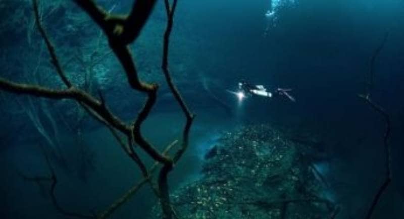 Sungai Bawah Laut yang Menjadi Misteri, Berani Menyelam Kesini?