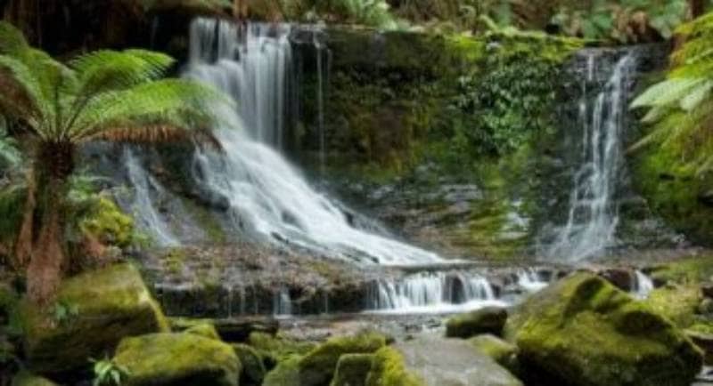 15 Air Terjun di Australia Dengan Keindahan Luar Biasa