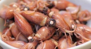 5 Kuliner Khas Toyama yang Super Lezat!
