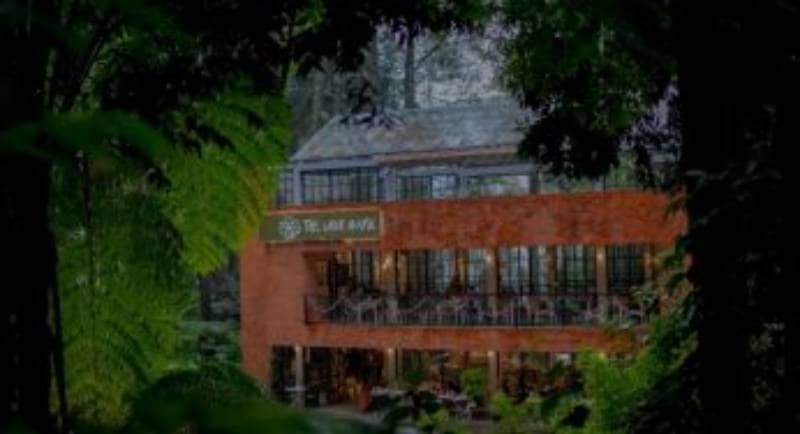 8 Restoran Dekat Taman Safari Bogor, Nyaman untuk Beristirahat